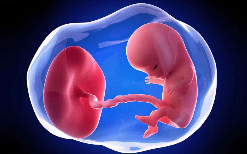 Săptămâna 10 de sarcină: simptome, dezvoltarea fătului și recomandări