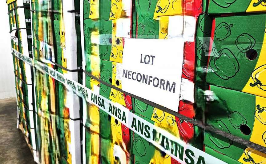 Alertă alimentară: Peste nouă tone de ardei de import, distruse la vamă: Pesticide peste limita admisă