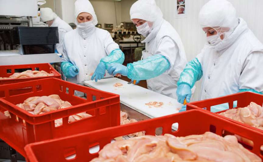 Noi reguli pentru siguranța alimentelor în Moldova privind substanțele interzise