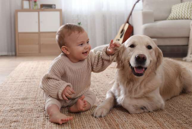Top 10 rase de câini potrivite pentru familii cu copii – ce trebuie să știi înainte de alegere