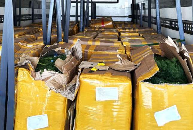 Mărar, pătrunjel și hrișcă de import, nimicite în urma controalelor ANSA